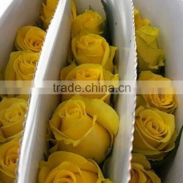 Top Quality Most Popular Gold Plated Gift Rose photo-3