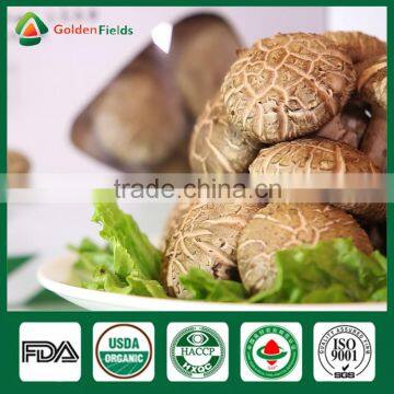 Shiitake Mushroom Frozen,Shiitake Mushroom Kit,Shiitake Production photo-3