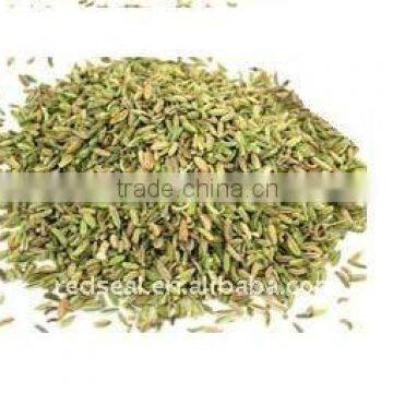 Low price green fennel seeds