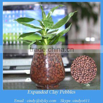 hydroponic plants growing material expanded clay pellets