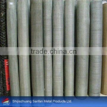 Hot sale Galvanized Screen mesh (ISO 9001:2000)