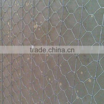 Galvanized Hexagonal Wire Mesh for Chicken