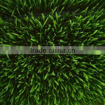 2013 hydroponc sprouting machine
