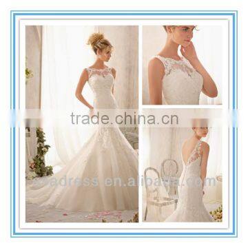 2014 New Fashion Delicately Embroidered Lace Appliques on Net Import Wedding Dress (WDBG-2610)