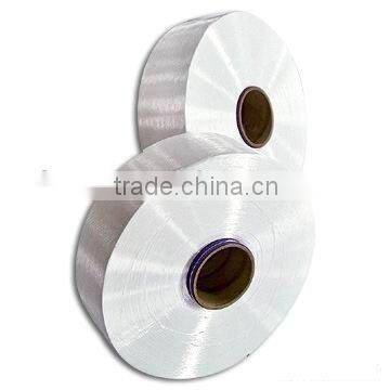 Nylon Poy Yarn 32D/12F SD FD BRT