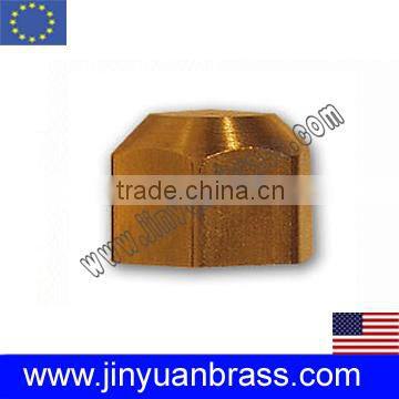 Brass female hexagonal cap nut