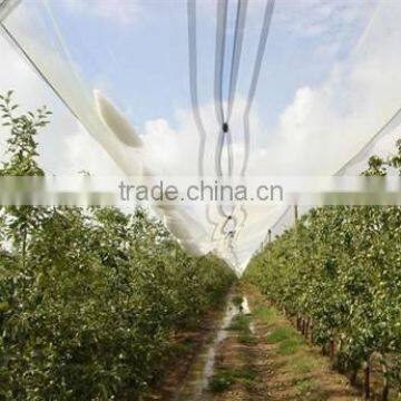 43 Grm HDPE Agriculture Leno Anti Hail Net photo-5