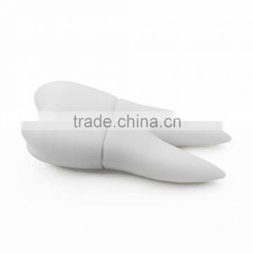 Mini tooth shape usb for handheld dentist, gift flash drive usb tooth, Custom shaped 8gb flash tooth usb drive