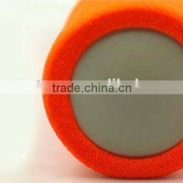 High Quality Sponge Cast Iron Dumbbell for Children and Women photo-6