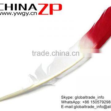 ZPDECOR Selected Prime Quality Cheap Bulk Colored Red Half Dipped Bicolourable Turkey Feathers for Fashion Decorations photo-2