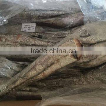 frozen hake HGT frozen fish for sale