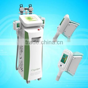 Weight Loss 2015 Hot Sales!! The Cryolipolysis Body Slimming Vacuum Fat Freeze Machine With Good Effects And Professional Engineers 220 / 110V