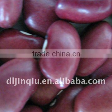 small red kidney bean 2012 crop