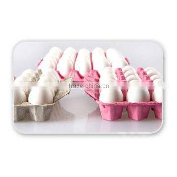 Egg Tray Carton Egg Packing Turkey
