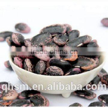 varieties of beans, black kidney beans, kidney beans sellers