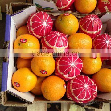 Grade A Egyptian Navel Orange