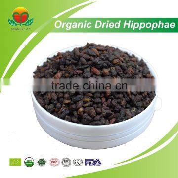 High Quality Organic Dried Hippophae Rhamnoides