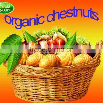 organic chestnuts