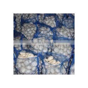 China Fresh Cheap Price Garlic