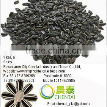 New Crop Black Sunflower Seeds For Oil Cheap Price