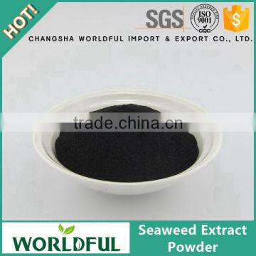 Wordful foliar spray water soluble seaweed extract fertilizer with high quality