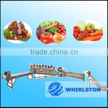 automatic fruit and vegetable cleaning machine