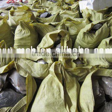 New Arrival Wholesale Natural Freshwater Shells Raw Shells photo-4