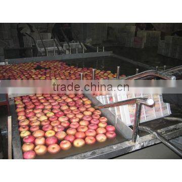 Fruit Selecting Machine/Fruit Pick Up Equipment photo-6