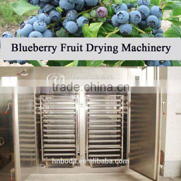 Blueberry fruit drying machinery