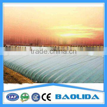 Cheap Tunnel Greenhouse for Fruits photo-5