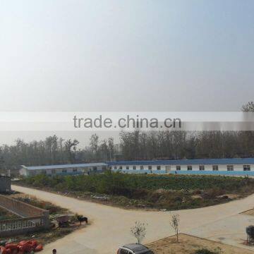 Dried Mealworm for Bird Treats photo-6