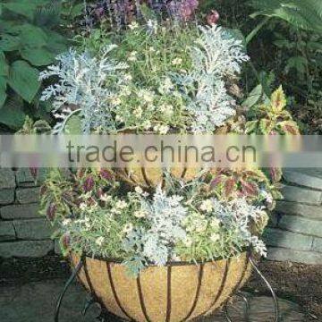 wrought iron planter