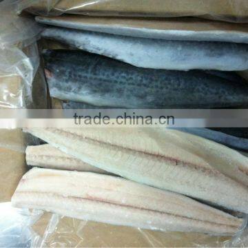 Frozen spanish mackerels fillet