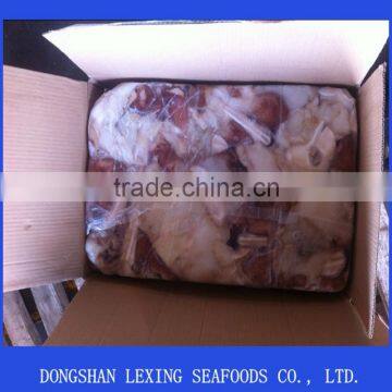 Frozen Giant Squid Neck From Peru photo-2