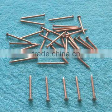 Galvanized Square Boat Nails photo-2