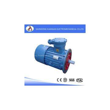 YB High-voltage explosion-proof ac Induction Motors