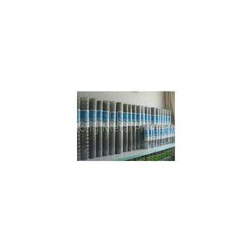 Decorative Zinc Coated Welded Steel Wire Mesh 12.5 Gauge Anticorrosion