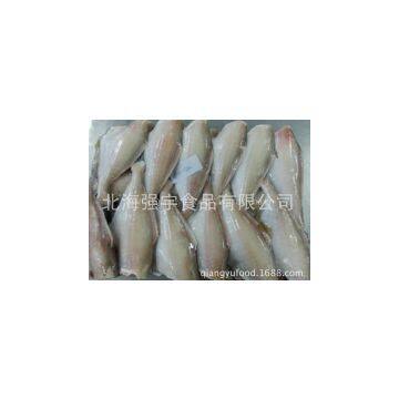 Frozen Filefish Fillet