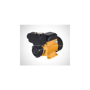 Vortex pump / Peripheral pump TPS60/70/80