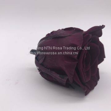 Preserved Rose Gift Arrangement Preserved Flowers photo-3