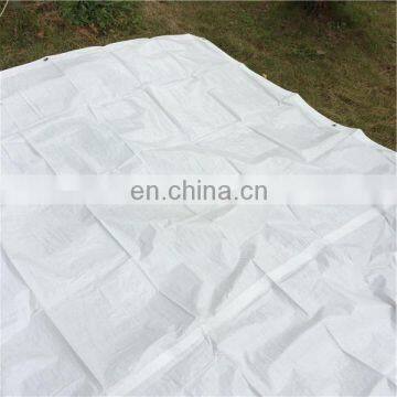 China Most popular pp for tent truck tarp