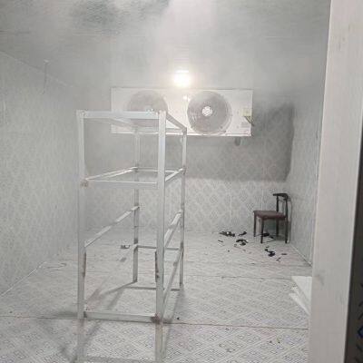 Flower Large Scale Cold Storage,Green Plants Large Scale Cold Room