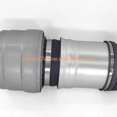 2533200338 Hot Selling Nice Quality Front Air Spring for Mercedes Benz W253 GLC Class Front LH & RH 2015--