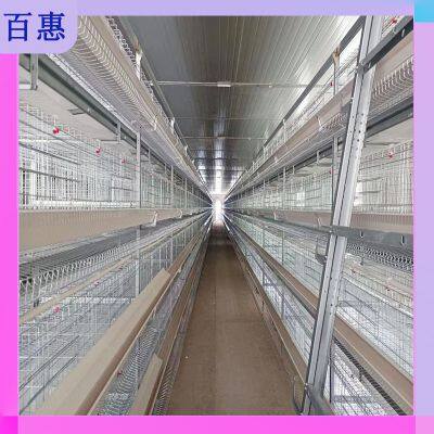 Jaula de pollos totalmente automática photo-3