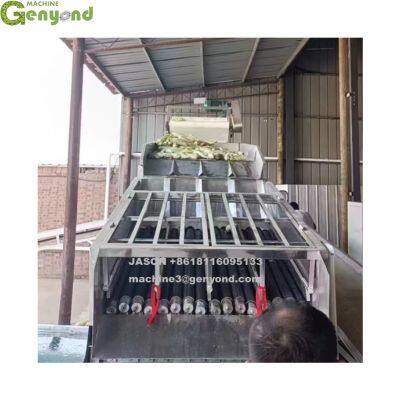Genyond Sweet Corn Peeler Green Corn Processing Line for Tender Corn Peeling Equipment
