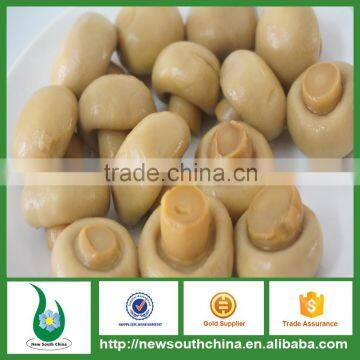 Canned boiled mushrooms champignons whole/cutted