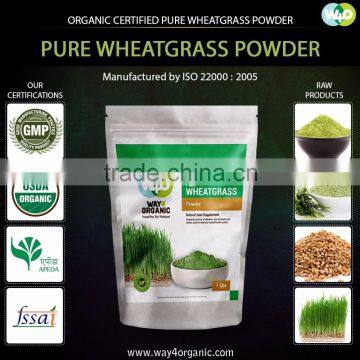 Supplier of Natural WheatGrass Powder From India
