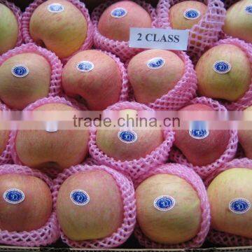 red Fuji apple exporter