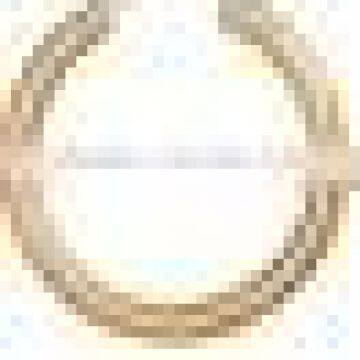 Earring Hoop Findings,micro Pave Hoop Earrings,bitch Hoop Earrings,stainless Steel Hoops Earrings Womens photo-2