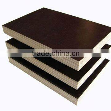 Black Film faced plywood